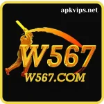 W567