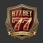 B77 Game
